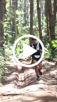 BIB:  <button type="button" onclick="openModal(26569337)" class="btn btn-primary btn-sm float-right" data-toggle="modal" data-target=".modal-high-quality">
                <i class="fa fa-download"></i> Download
                </button>